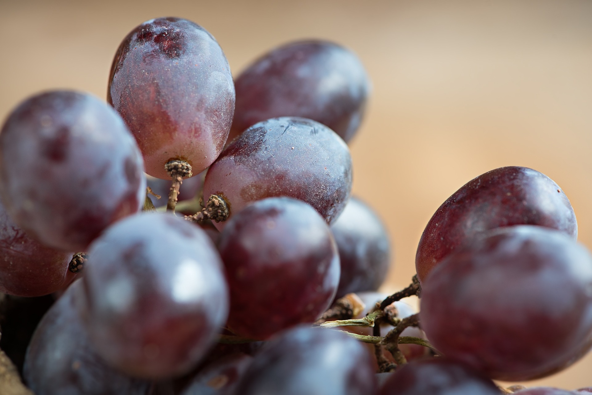 Red Grapes, Resveratrol Products, and Cancer Treatment Myth or